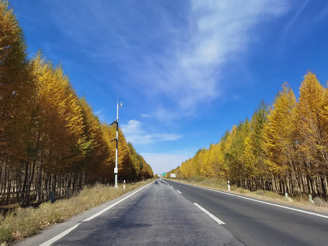 敦煌租車小團包車旅游：敦煌包車到青海湖西寧用越野車好還是轎車呢?