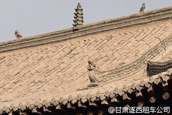 我們想包車去金昌紫金花海，花期是幾月？  