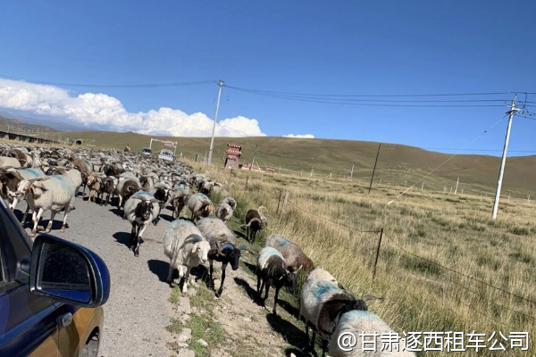 從蘭州包車到青城古鎮，一天來回累嗎？  